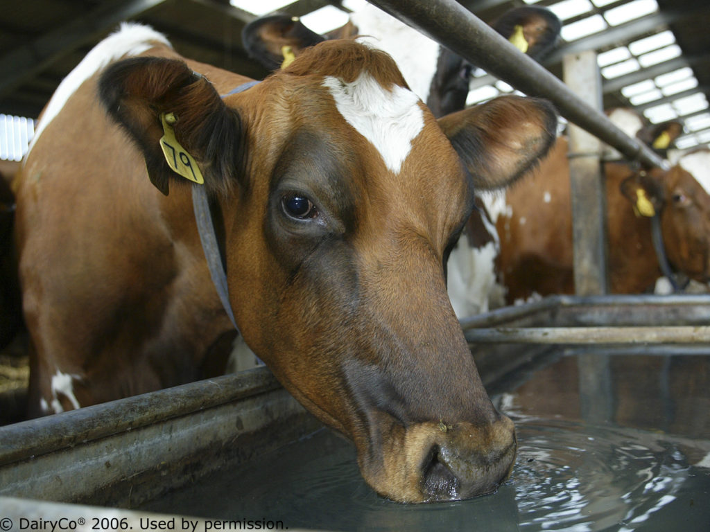 The Importance Of Water Helping farmers in Scotland Farm Advisory