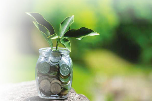 Money in a jar with a leaf sticking out of the top