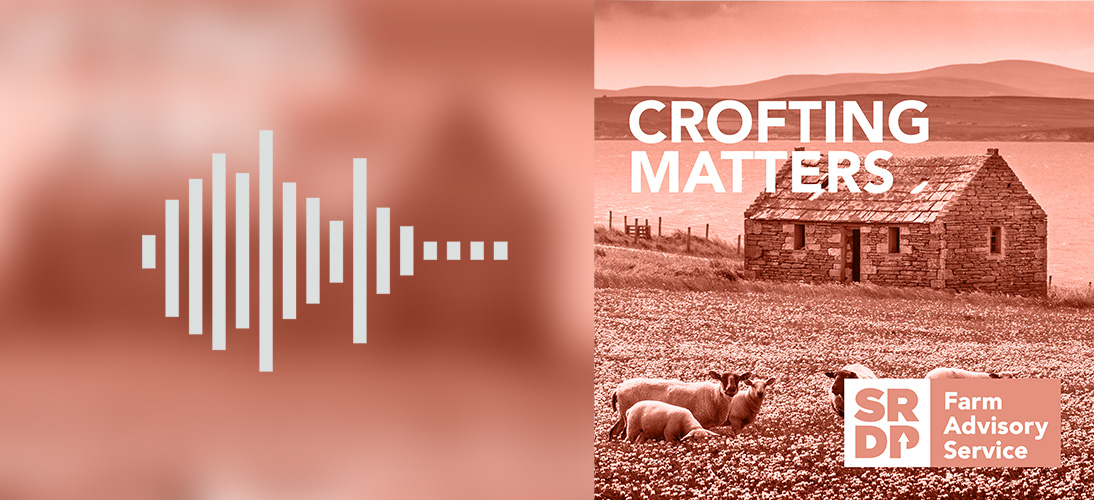 Crofting Matters