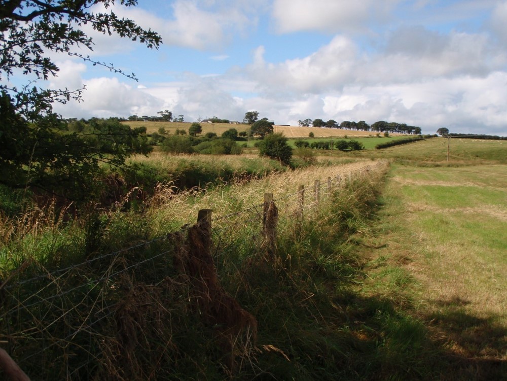 a hedgerow around a field
