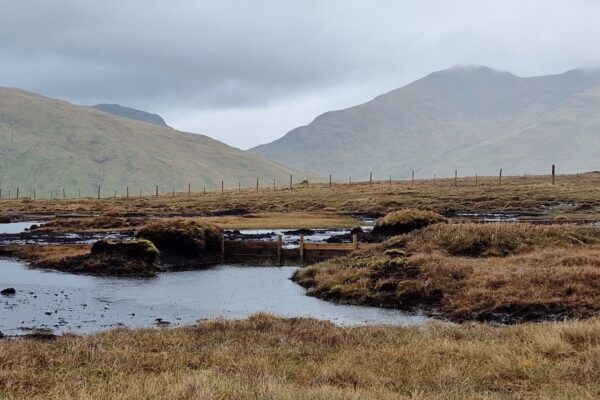 A wooden dam used to slow down waterflow to reduce erosion, increase the water table and encourage vegetation growth while preventing the creation of large and deep water pools.