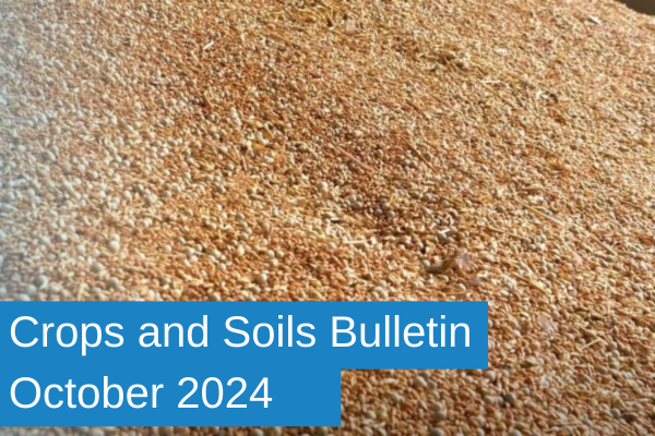 Crops & Soils Bulletin Oct24