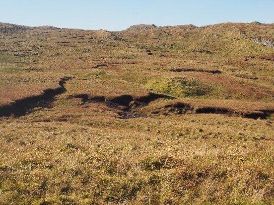 hagging on blanket bog