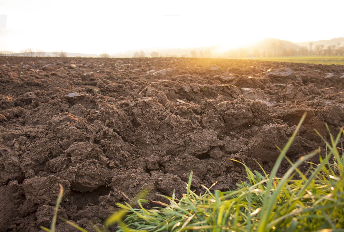 Plowed field soil